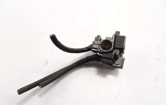 Dacia Sandero II Negative earth cable (battery) 250825784 A4539054500