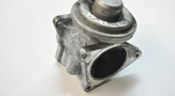 Volkswagen Golf V EGR valve 038131501A