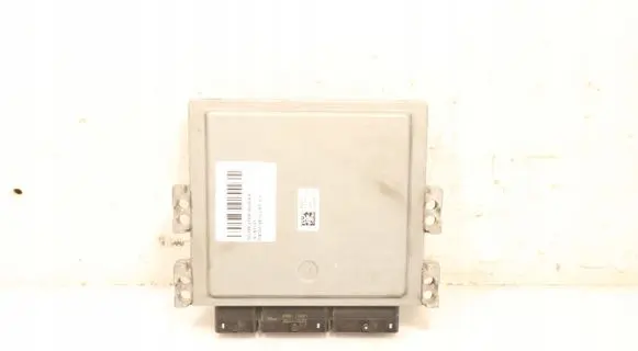 Engine control unit/module ECU