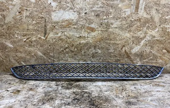 Front bumper lower grill