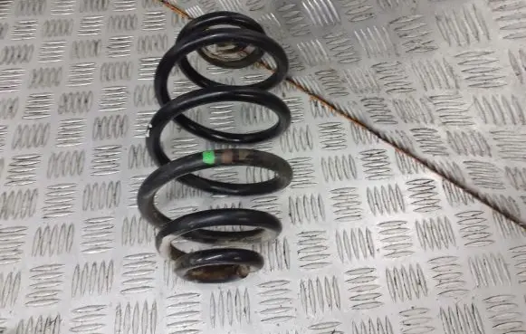 Volkswagen PASSAT B5.5 Rear coil spring