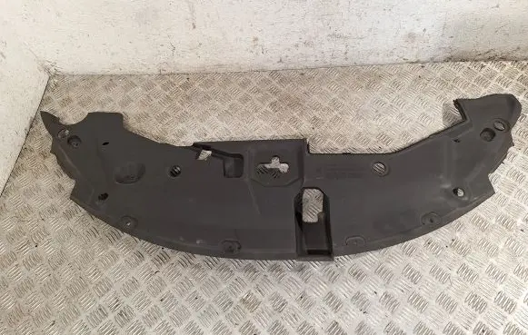 Radiator trim