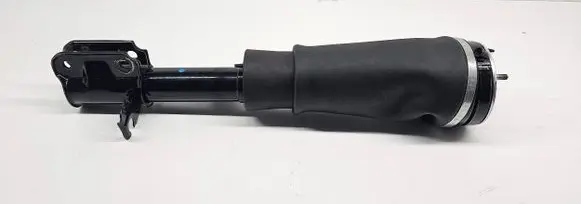 Land Rover Range Rover L322 Air suspension front shock absorber 3497672 F2310247 F2310245