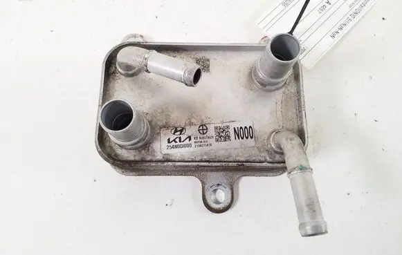 Hyundai Ioniq 5 Optional radiator 254N0GI000
