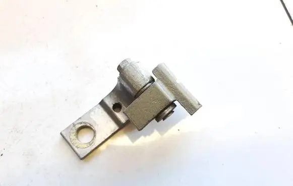 Rear door lower hinge