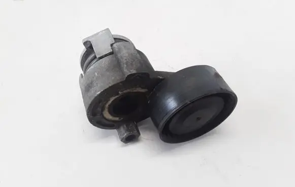 Dacia Duster Timing belt/chain tensioner 