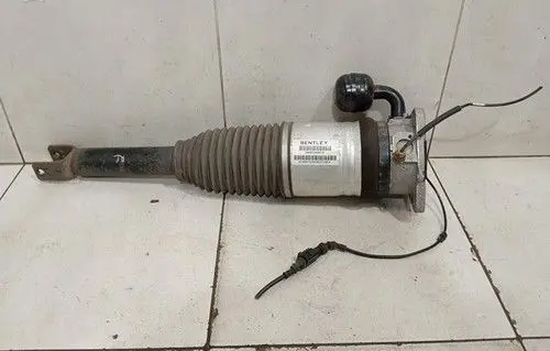 Bentley Continental Rear shock absorber with coil spring 3W0616001B