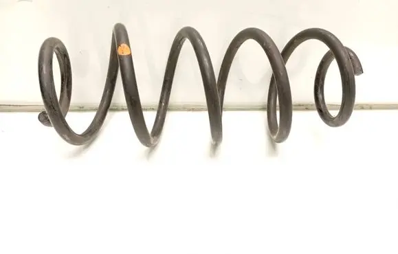 Rear coil spring