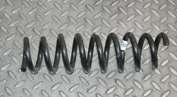 Rear coil spring
