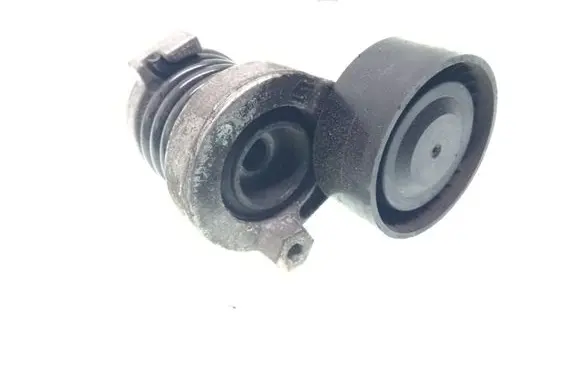 Nissan Qashqai Generator/alternator belt tensioner 117504043R