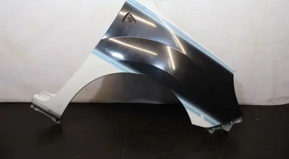 Renault Kangoo II Fender