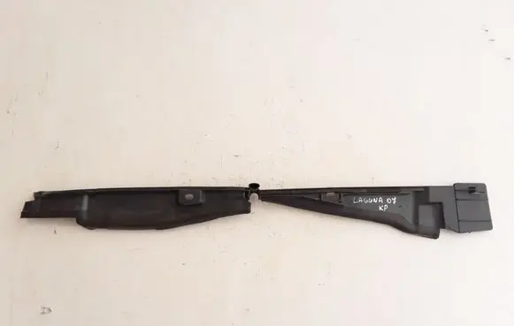 Engine bonnet/hood lock trim molding