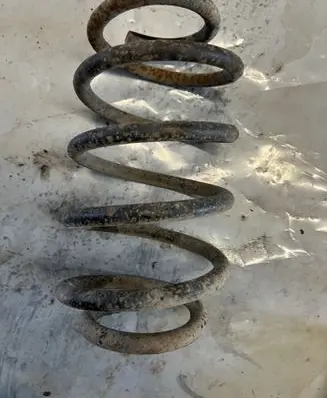Rear coil spring