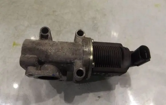 EGR valve