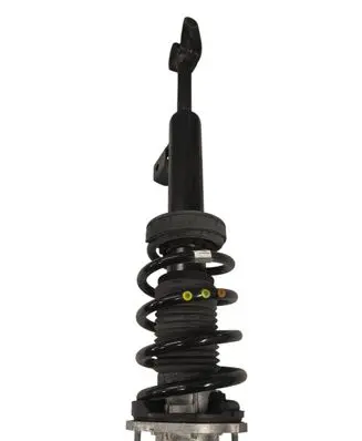 Alfa Romeo Giulia Front shock absorber with coil spring 50557144 814904013702