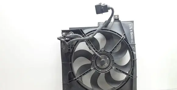 KIA Carnival Electric radiator cooling fan F420230150