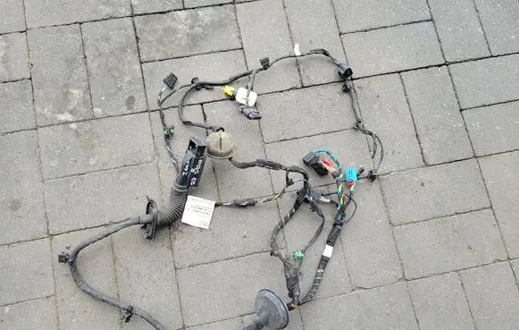 Audi R8 42 Front door wiring loom/harness boot 4S8971030C25 TAB027259A 3010603501PM