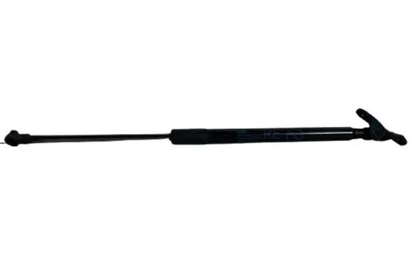 Tailgate strut