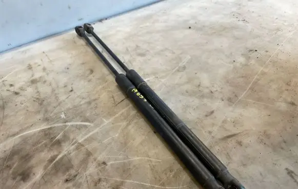 Tailgate/trunk strut/damper