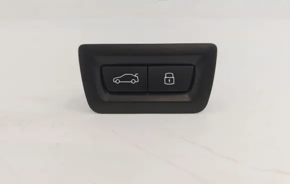 BMW iX1 Tailgate opening switch 5A1B30104