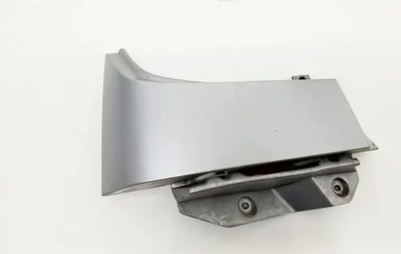 Rear/tail light trim molding