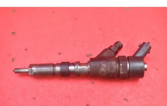 Peugeot Boxer Fuel injector 0445110076