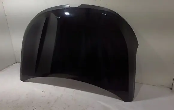 Engine bonnet/hood