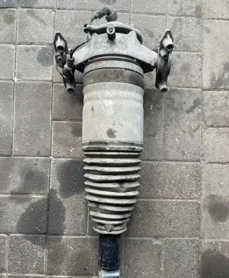 Porsche Cayenne (92A) Rear shock absorber/damper 7P5616020AG