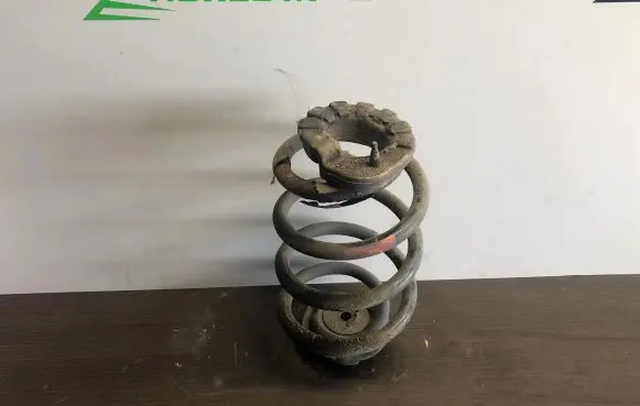 Nissan Leaf I (ZE0) Rear coil spring
