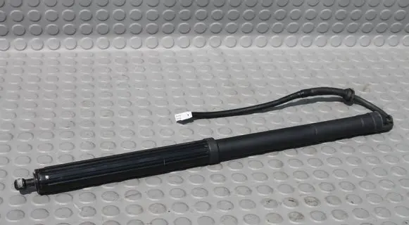 Toyota RAV 4 (XA50) Tailgate/trunk strut/damper TOYOTA6892042020 6892042020