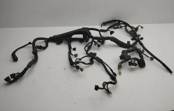Engine installation wiring loom