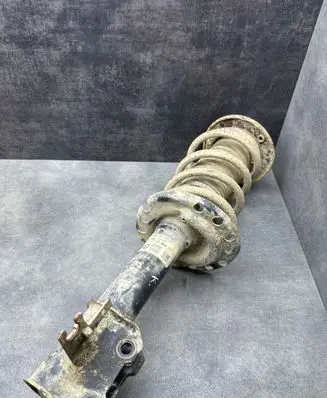 Opel Vectra C Front shock absorber/damper 461022360 13254161 824903002848