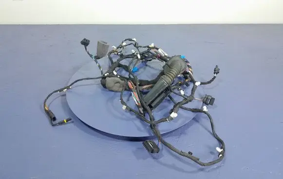 Audi A4 S4 B7 8E 8H Other wiring loom 8395496
