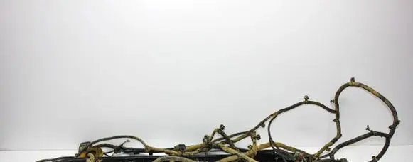 Other wiring loom