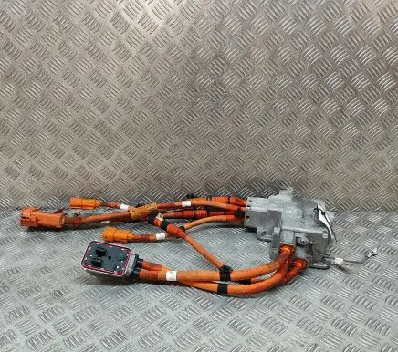 Jaguar I-Pace Other wiring loom J9D310N770BE
