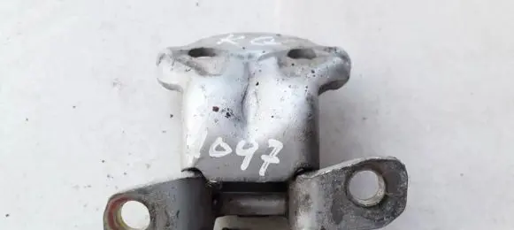 Volvo S40, V40 Rear door lower hinge