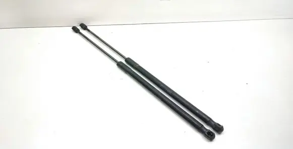 BMW X1 E84 Tailgate/trunk strut/damper 2990136
