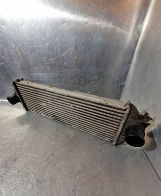 Renault Trafic II (X83) Intercooler radiator 91166035