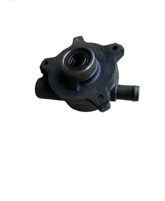 Hyundai Santa Fe Vacuum pump