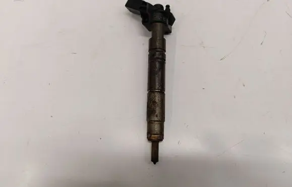Mercedes-Benz R W251 Fuel injector A6420701387