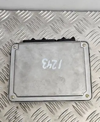 Volkswagen PASSAT B5 Engine control unit/module 038906018FQ 038906018FB 28SA4404