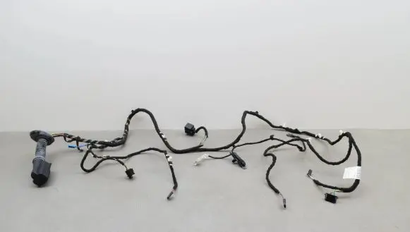 Front door wiring loom