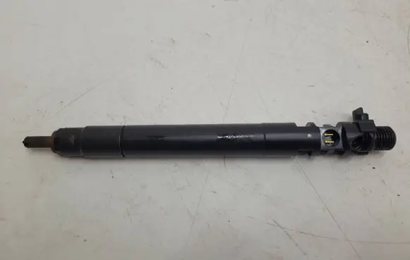 Peugeot Expert Fuel injector 9686191080 EMBR00101D 6B568WX