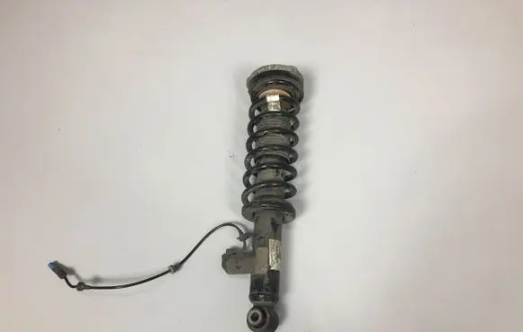BMW X3 F25 Rear shock absorber/damper 6799911