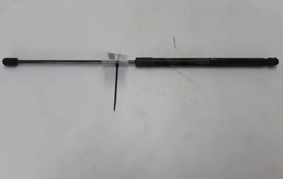Tailgate strut