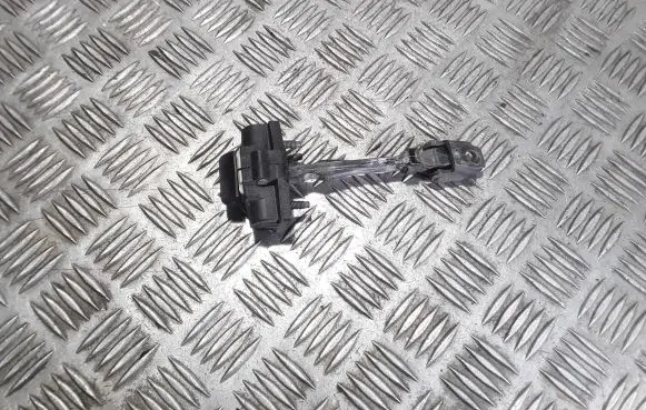 Dacia Dokker Front door check strap stopper 804304825R