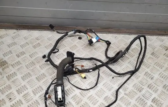 Audi A5 Front door wiring loom 8W6971029BH