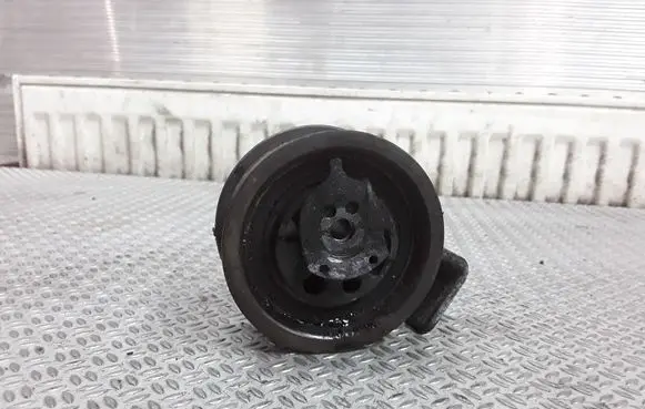 Ford Galaxy Timing belt/chain tensioner 