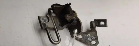 Volkswagen PASSAT CC Front door hinge set 