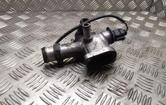 Thermostat/thermostat housing